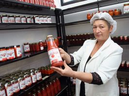 Evropska unija podrÅ¾ala prvo socijalno preduzeÄ‡e u JablaniÄkom kraju