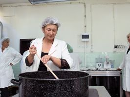 Evropska unija podrÅ¾ala prvo socijalno preduzeÄ‡e u JablaniÄkom kraju