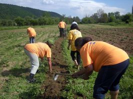 Konkurs Evropskog PROGRESa za partnerske projekte opÅ¡tina i organizacija civilnog druÅ¡tva