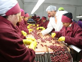 Dobar napredak evropskih projekata na jugu Srbije