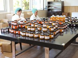 Dobar napredak evropskih projekata na jugu Srbije