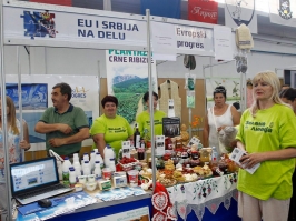 U Pirotu odrÅ¾an Sajam EU projekata EU i Srbija na delu