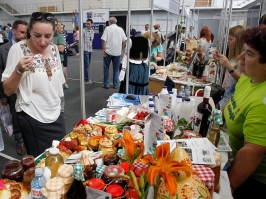 U Pirotu odrÅ¾an Sajam EU projekata EU i Srbija na delu